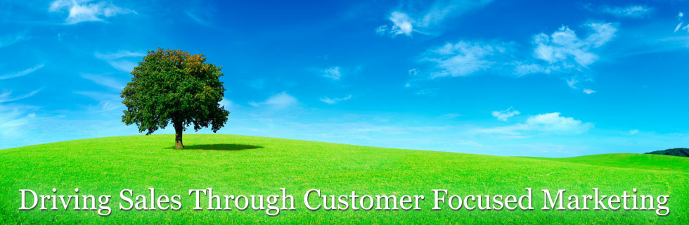 Driving Sales Through Customer Focused Marketing
